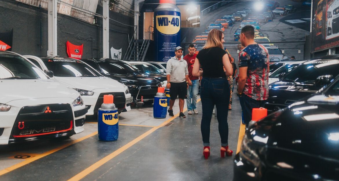 luxury cars warehouse inspection
